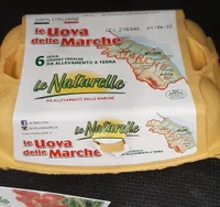 Uova delle Marche