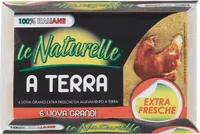 A terra uova grandi extra fresche da allevamento a terra