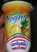 Yogurt