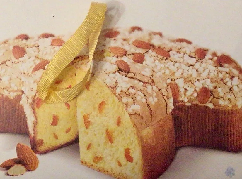 Colomba classica