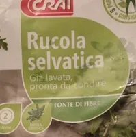 Rucola selvatica