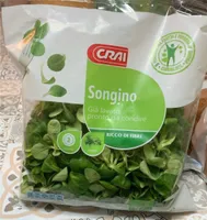 Songino