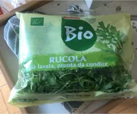 Rucola