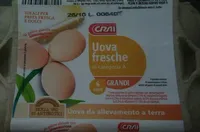 Uova fresche