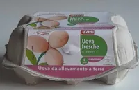 Uova fresche