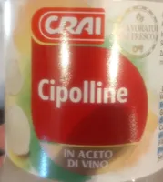 Cipolline
