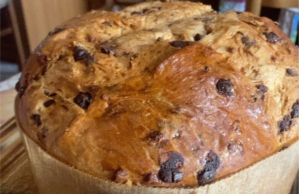 panettone con goccie di cioccolato