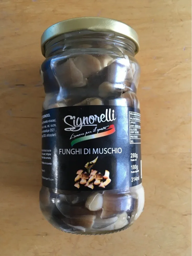 Funghi di Muschio