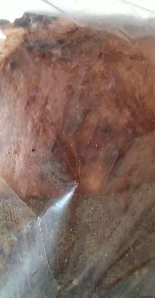 Panettone Gianpaoli