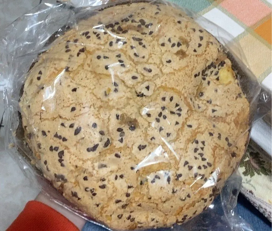 Panciocc