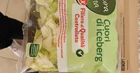 Cuori di Iceberg
