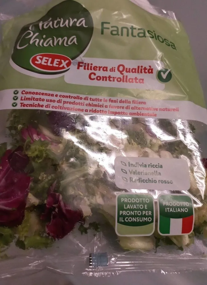 Fantasiosa