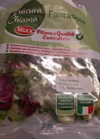Fantasiosa