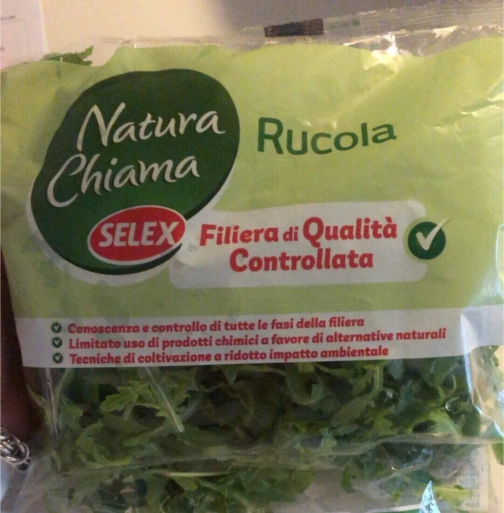 Rucola