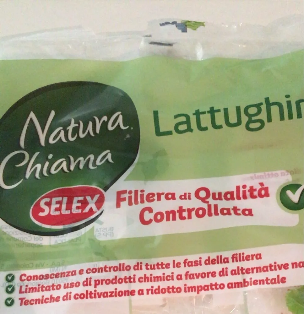 Lattughino