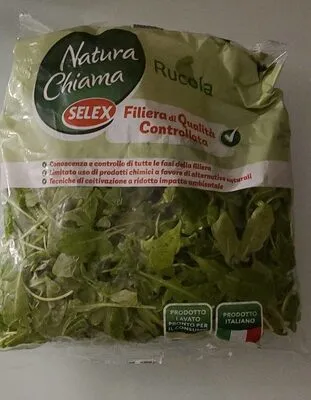 Rucola
