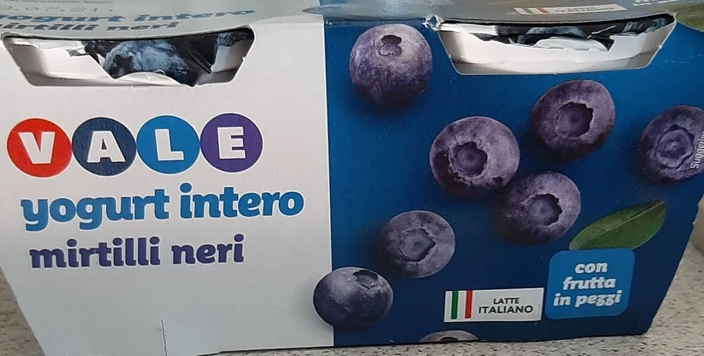 Yogurt intero mirtilli neri