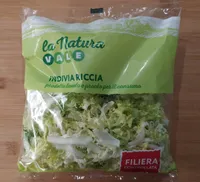 Invidia Riccia