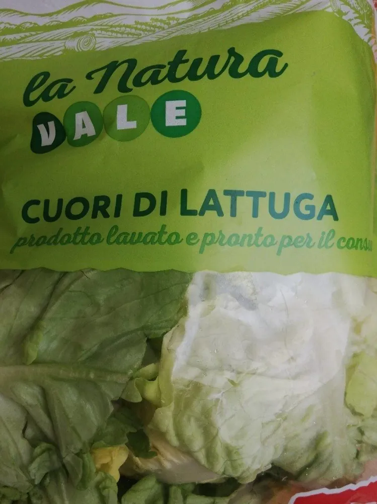 Cuori di lattuga