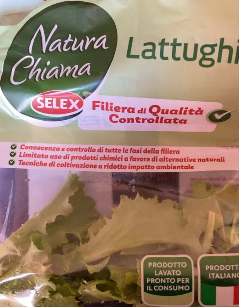 Lattughino