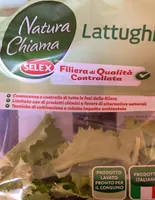 Lattughino