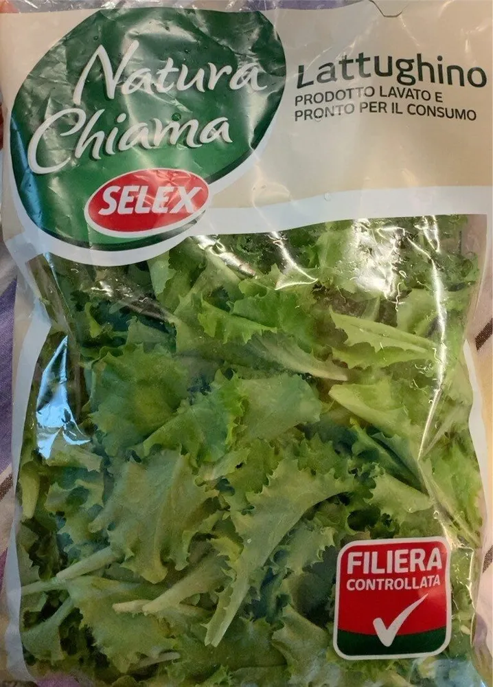 Lattughino