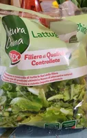 Lattughino
