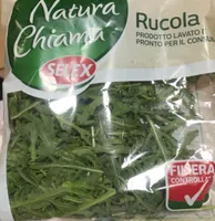 Rucola