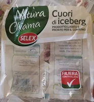 Cuori di iceberg