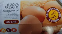Uova medie