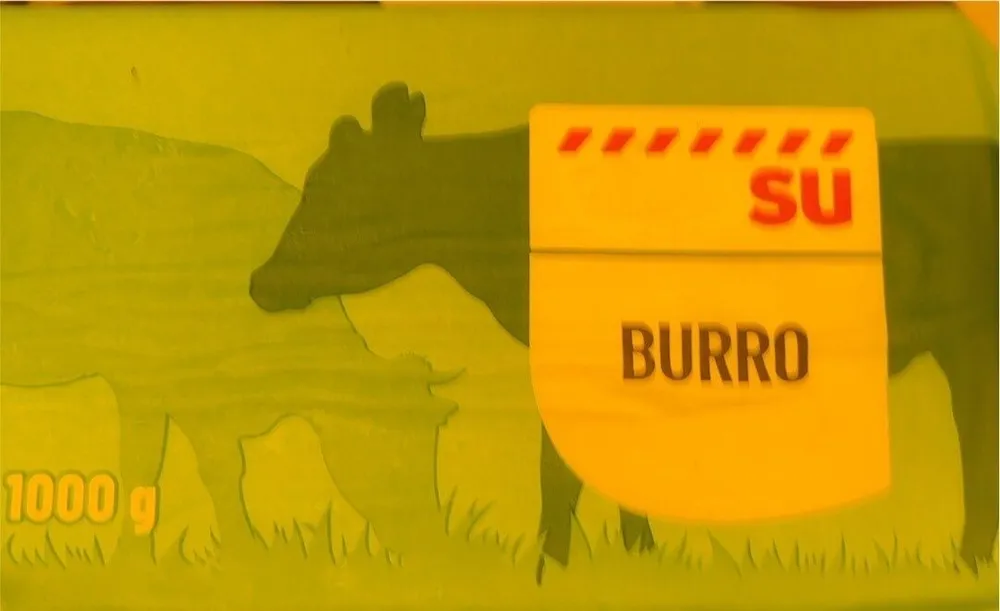 Burro