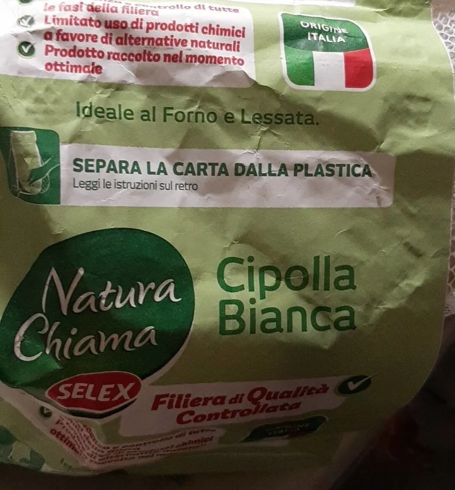 Cipolla bianca