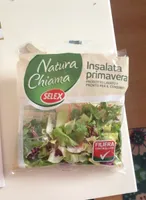 Insalata primavera