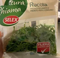 Rucola
