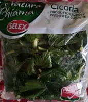 Cicoria