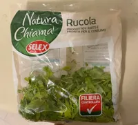 Rucola