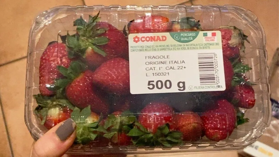 Fragole