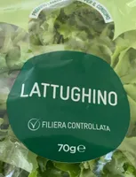 Lattughino