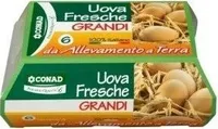 Uova Fresche Grandi Da Allevamento a Terra