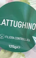 Lattughino