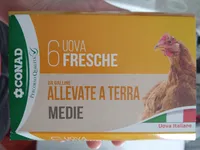 Uova fresche da galline allevate a terra medie