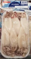 Calamari indopacifici