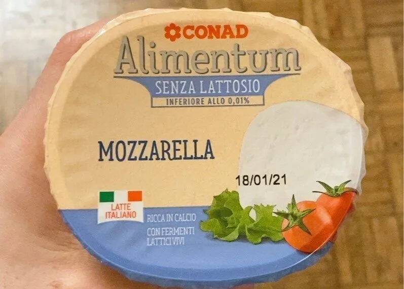 Mozzarella alimentum
