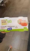 Yogurt cremoso verso natura bio fragola