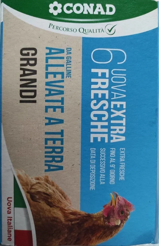 Uova extra fresche