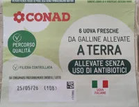 6 uova fresche da galline allevate a terra allevate senza uso di antibiotici