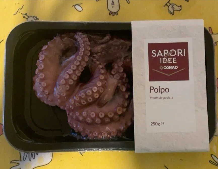 Polpo