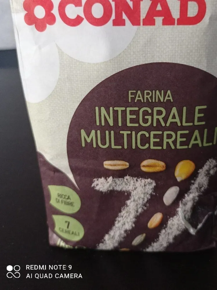 Farina integrale multicereali