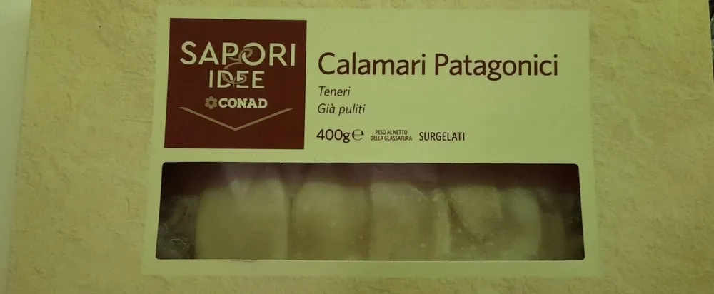 Calamari patagonici