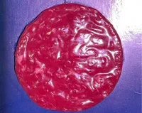 Tartare chianina